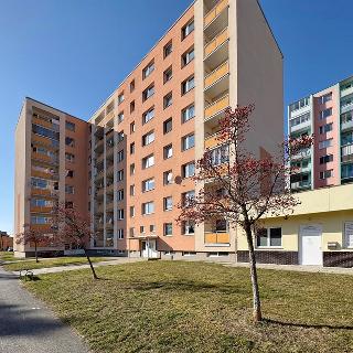 Pronájem bytu 3+1 68 m² Lipník nad Bečvou, Na Bečvě