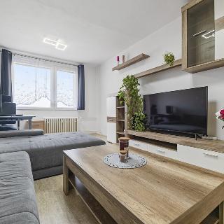 Prodej bytu 3+1 79 m² Plzeň, Těšínská