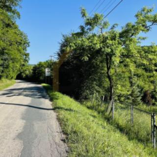 Prodej stavební parcely 3693 m² Radějov