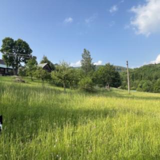 Prodej stavební parcely 1 101 m² Zlatá Olešnice
