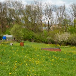 Prodej chaty 18 m² Děčín VII-Chrochvice