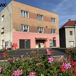 Prodej obchodu 106 m&sup2; Jílové