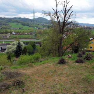 Prodej stavební parcely 1 293 m² Děčín