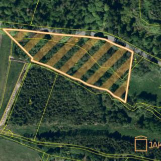 Prodej louky 8875 m² Budišov nad Budišovkou