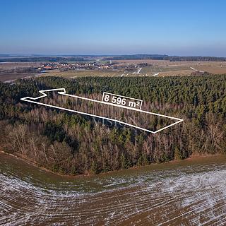 Prodej lesa 8596 m&sup2; Vlastiboř