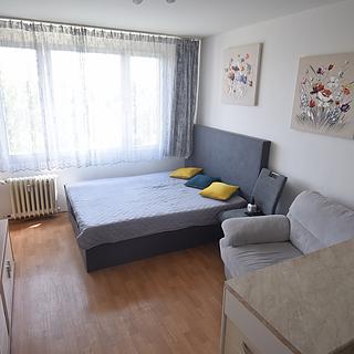 Prodej bytu 1+kk, garsoniery 24 m&sup2; Praha