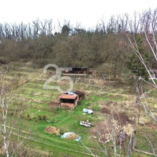Prodej zahrady 1482 m² Bítouchov