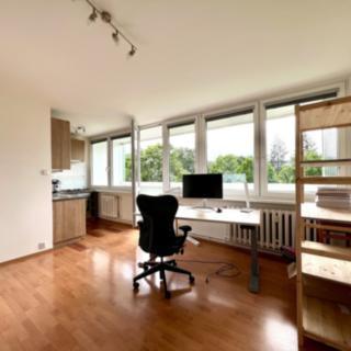 Pronájem bytu 1+kk a garsoniéry 27 m² Praha Karlín, Nekvasilova
