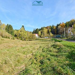 Prodej louky 6847 m&sup2; Janov nad Nisou