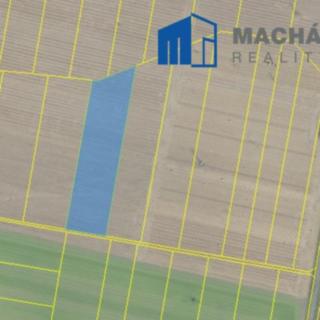 Prodej zemědělské půdy 10029 m&sup2; Opolany