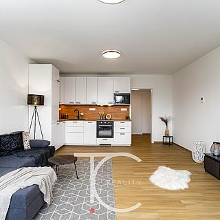 Pronájem bytu 1+kk, garsoniery 38 m&sup2; Ostrava