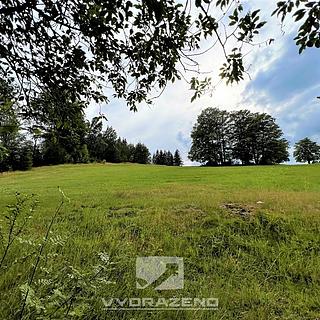 Prodej zemědělské půdy 618 m&sup2; Lučany nad Nisou