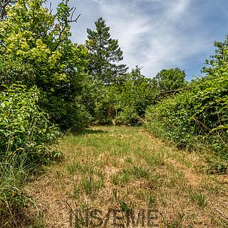 Prodej zahrady 529 m&sup2; Brno