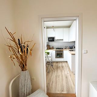 Pronájem bytu 1+1 33 m&sup2; Brno