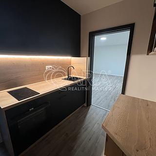 Pronájem bytu 1+1 35 m&sup2; Louny