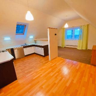 Pronájem bytu 2+kk 61 m² Doubravník