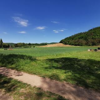 Prodej stavební parcely 690 m² Lomnička