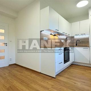 Pronájem bytu 2+1 60 m² Praha, Konojedská