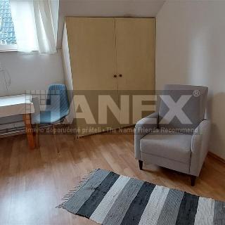 Pronájem bytu 1+kk a garsoniéry 25 m² Praha, Pod Žvahovem