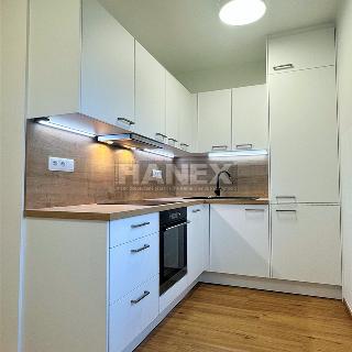 Pronájem bytu 2+1 60 m² Praha, Konojedská