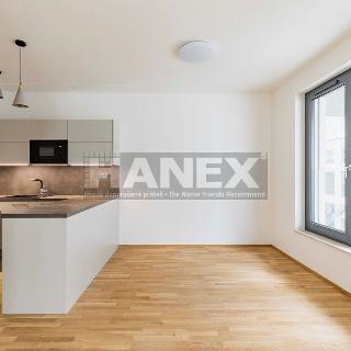 Pronájem bytu 2+kk 55 m² Praha, Pernerova