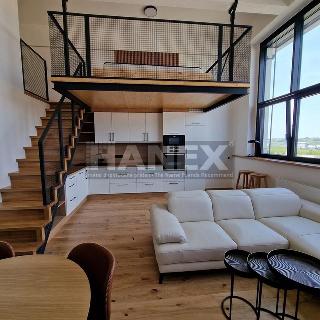 Pronájem bytu 1+kk a garsoniéry 56 m² Praha, Naskové