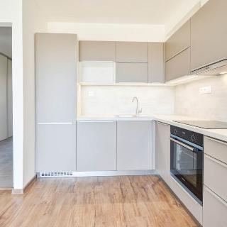 Pronájem bytu 1+kk a garsoniéry 45 m² Olomouc, Dolní novosadská