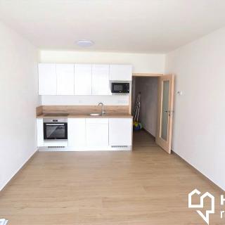 Pronájem bytu 1+kk a garsoniéry 35 m² Olomouc, Rokycanova