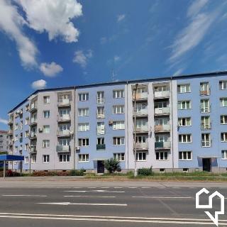 Pronájem bytu 1+1 51 m² Olomouc, Foersterova 