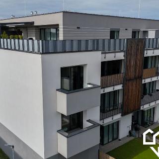 Prodej bytu 2+kk 53 m² Olomouc, Věry Pánkové