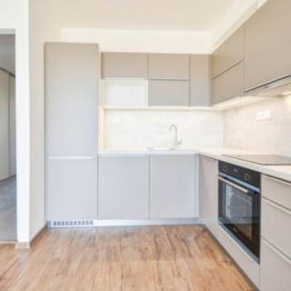 Pronájem bytu 1+kk a garsoniéry 45 m² Olomouc, Dolní novosadská