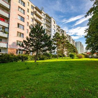 Prodej bytu 2+kk 45 m² Brno, Horníkova