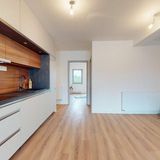 Prodej bytu 4+kk 276 m² Hostěnice