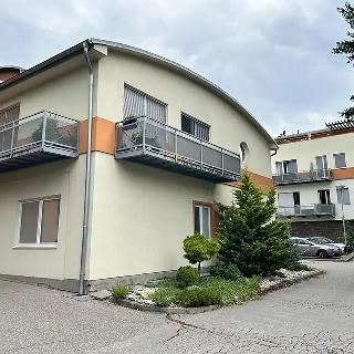 Prodej obchodu 47 m² Brno