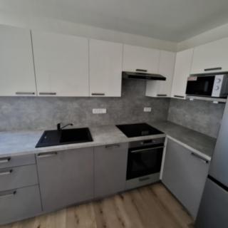 Pronájem bytu 1+1 42 m² Brno