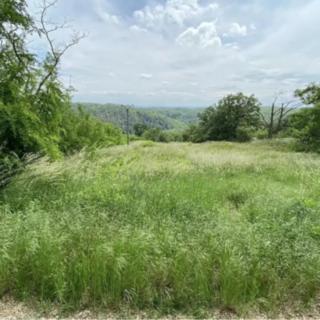 Prodej stavební parcely 2500 m&sup2; Nebovidy