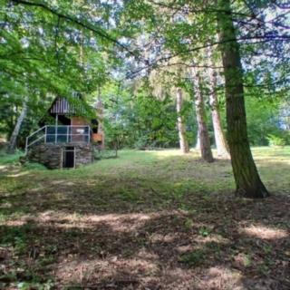 Prodej zahrady 1224 m² Doubravník