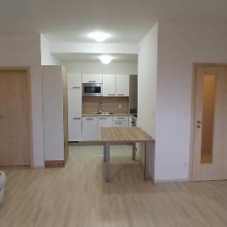 Pronájem bytu 2+kk 52 m² Brno, U Leskavy