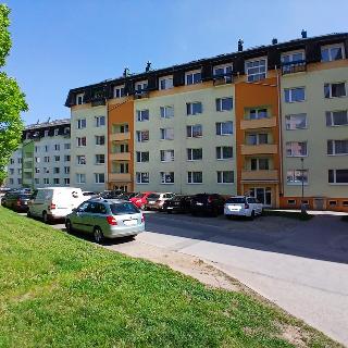 Prodej bytu 3+kk 56 m² Rosice