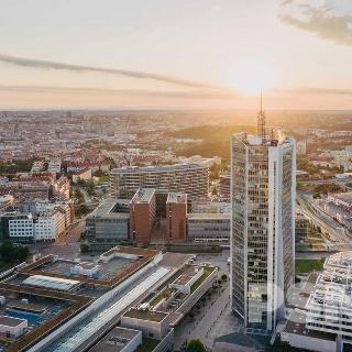 Pronájem kanceláře 266 m² Praha