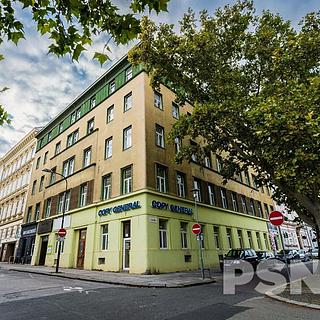Pronájem kanceláře 30 m&sup2; Brno