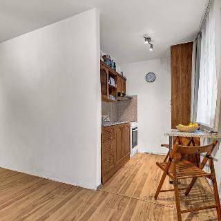 Prodej bytu 1+kk, garsoniery 28 m² Praha