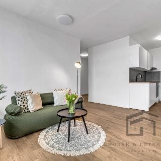 Pronájem bytu 2+kk 38 m² Praha, Jašíkova