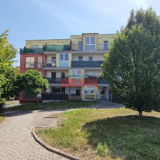 Pronájem bytu 1+kk a garsoniéry 45 m² Mladá Boleslav, Svojsíkova