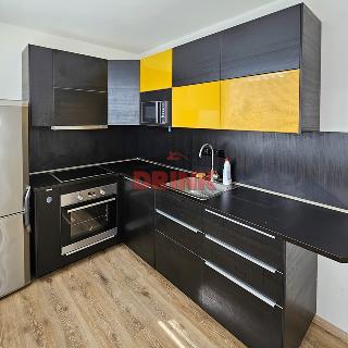 Pronájem bytu 1+1 38 m² Mladá Boleslav, 17. listopadu