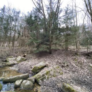 Prodej ostatních pozemků 580 m² Slavičky