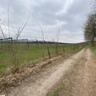 Prodej lesa 5201 m² Bílé Podolí