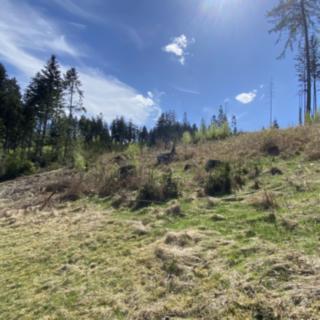 Prodej lesa 12 261 m² Liptál