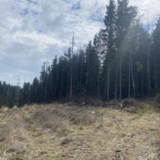 Prodej lesa 574 m² Červený Hrádek