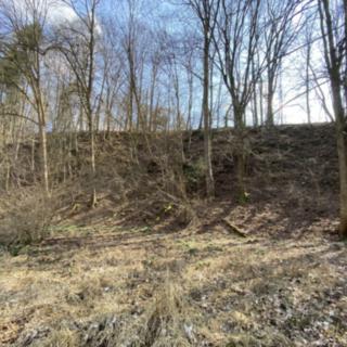 Prodej lesa 346 m² Třebovice